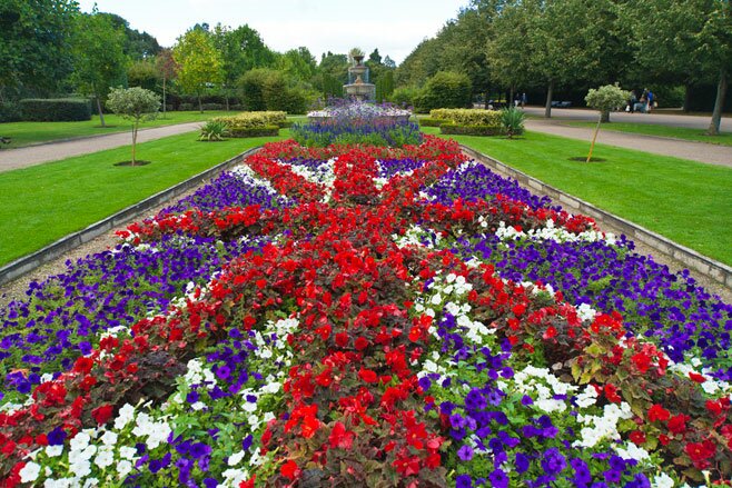 Цветы в Риджентс-парке