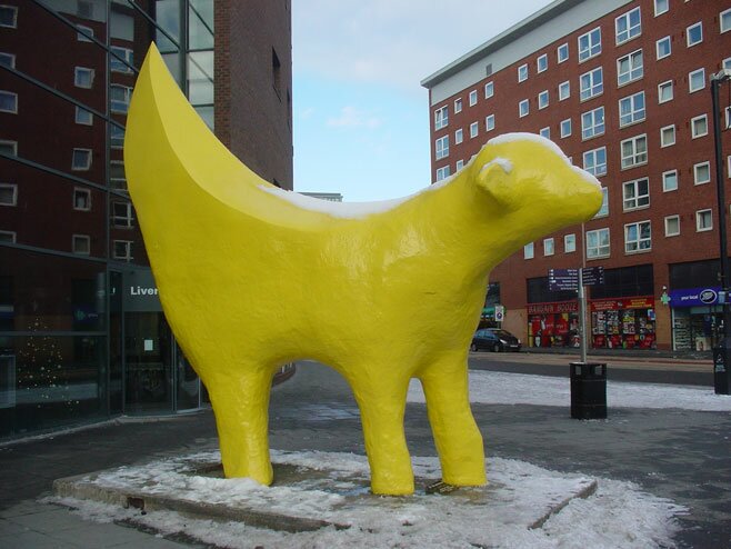 Ливерпульская знаменитость